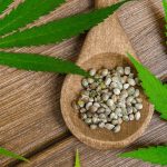 Clubs Cannabis Madrid: Discover Exclusive Marijuana Madrid Venues