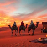 Experience the Agafay desert camel ride and dinner with a show, featuring sunset views and lively cultural ambiance.