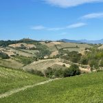 Sacramento Wineries That Offer Exclusive Wine Experiences