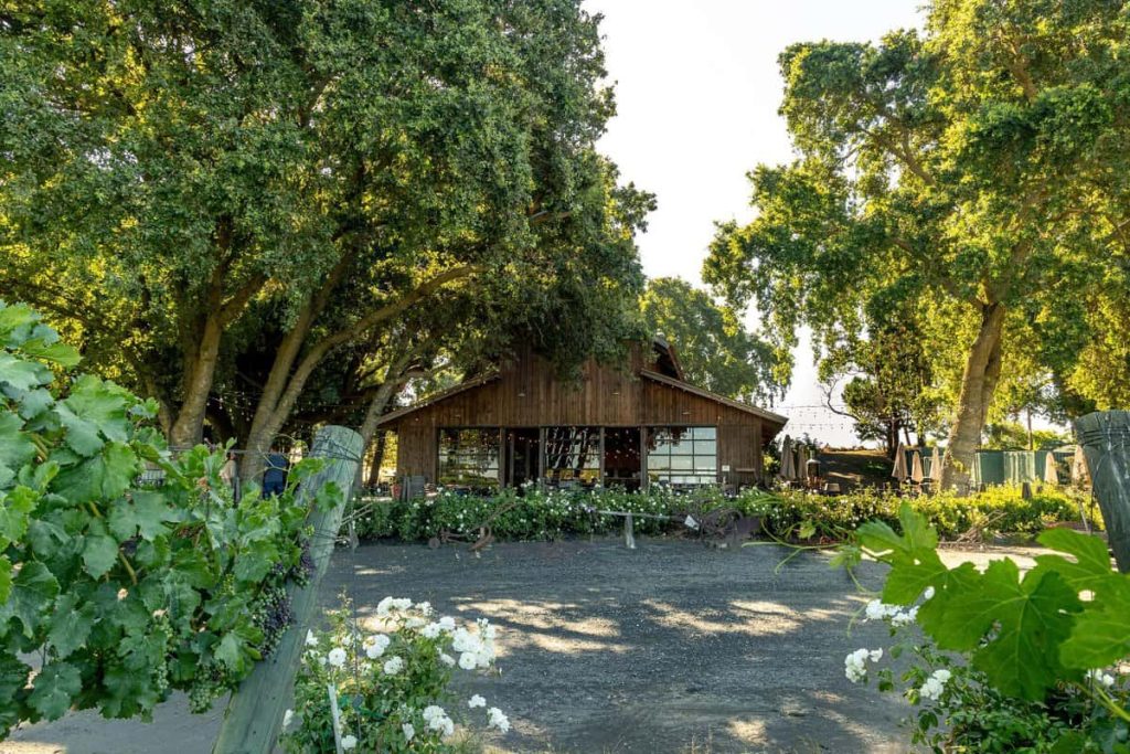 A Guide to Fun and Relaxing Things to Do in Clarksburg CA